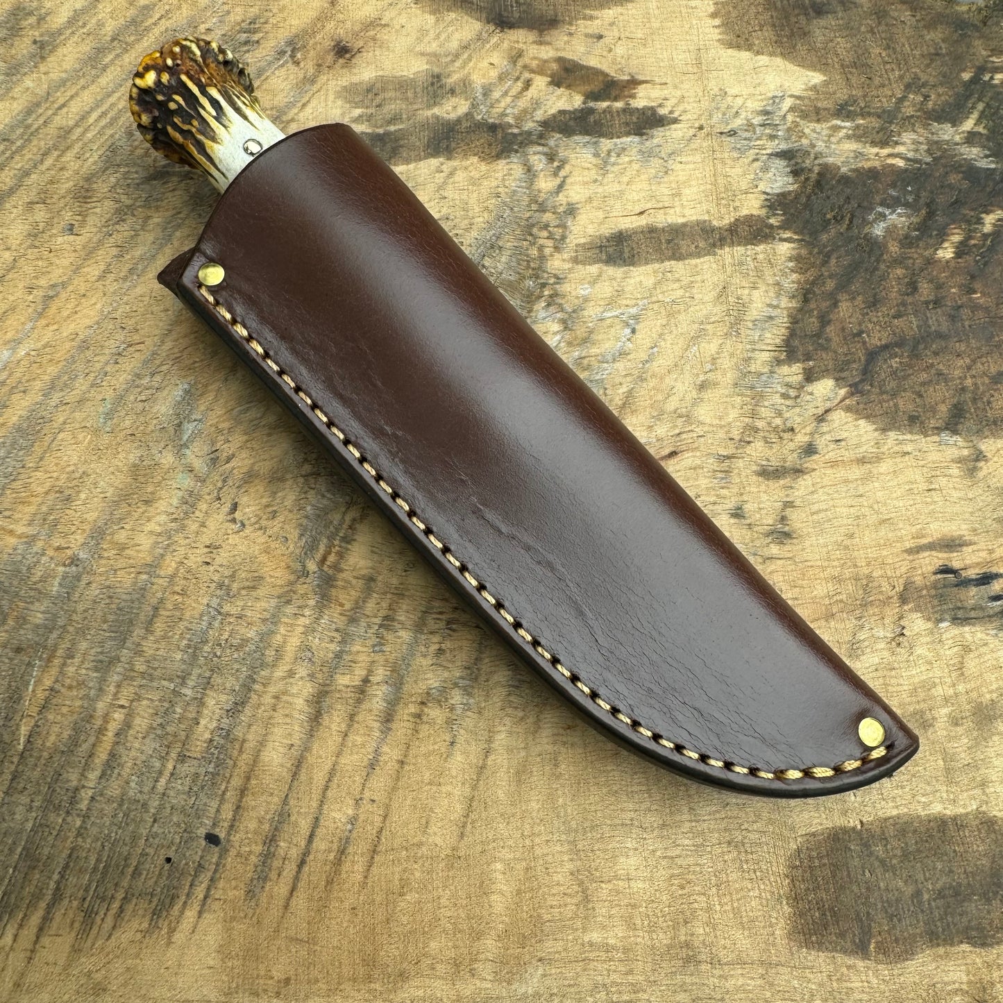 Scagel Style Deer & Trout