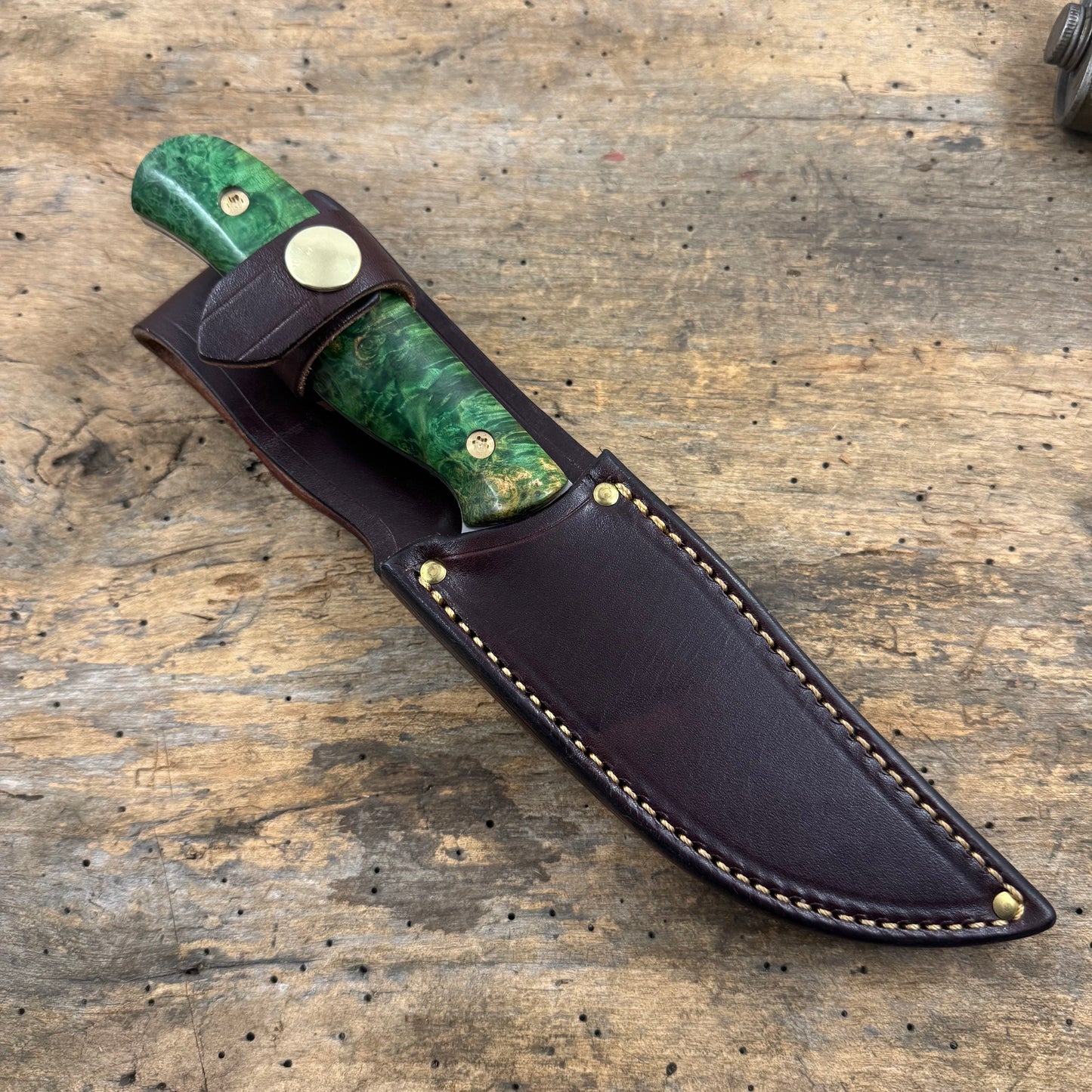 Bear Paw Hunter - AEB-L