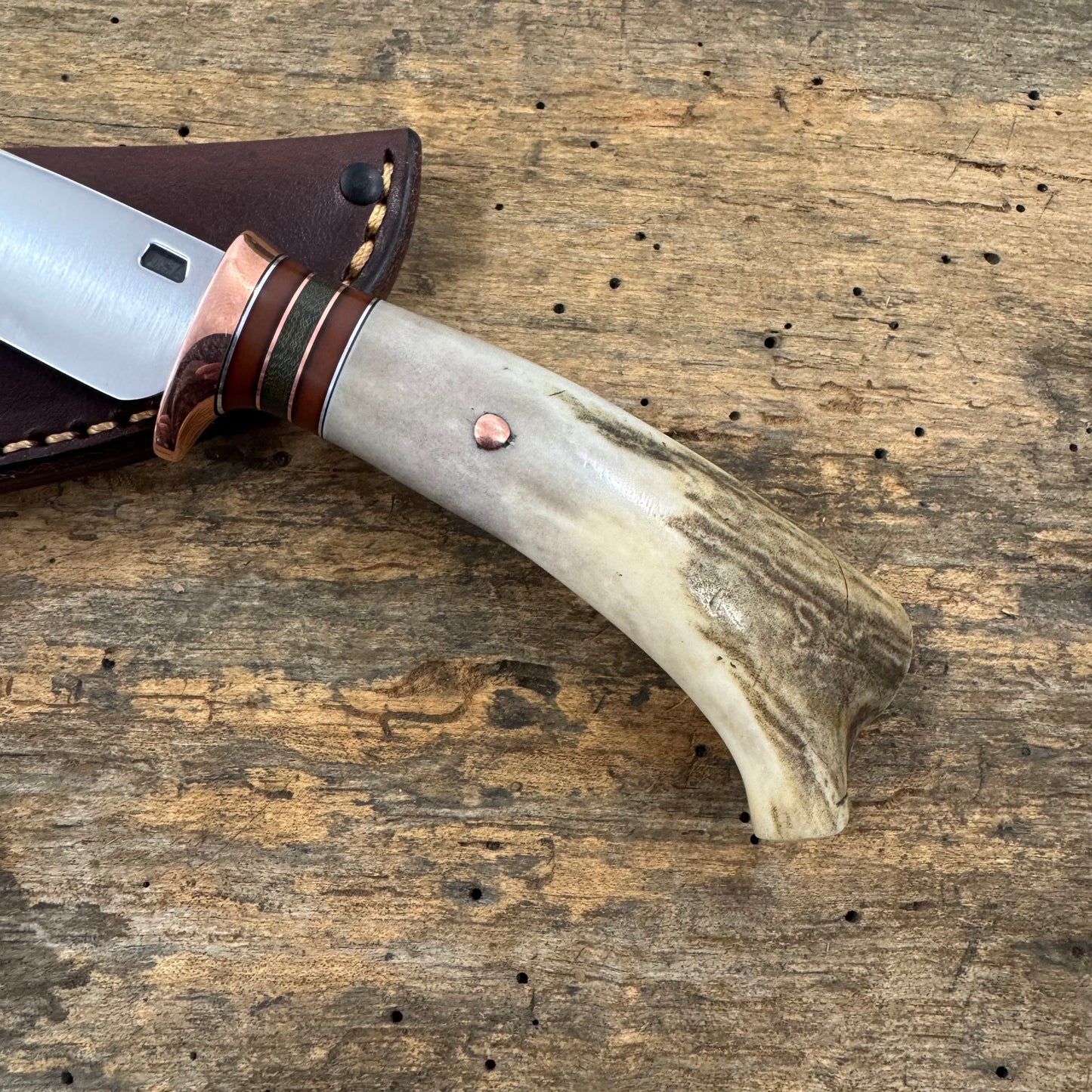 Michigan Trout