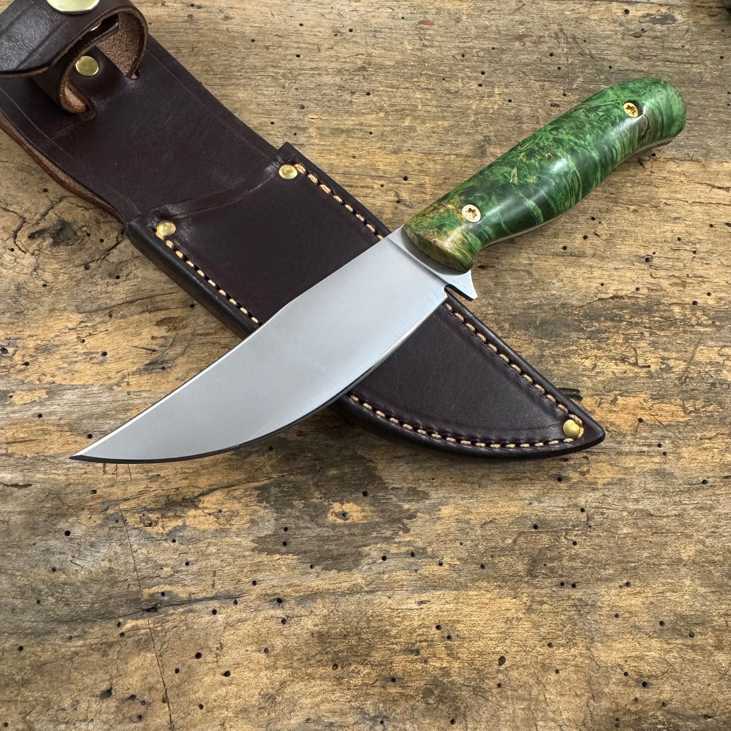 Bear Paw Hunter - AEB-L