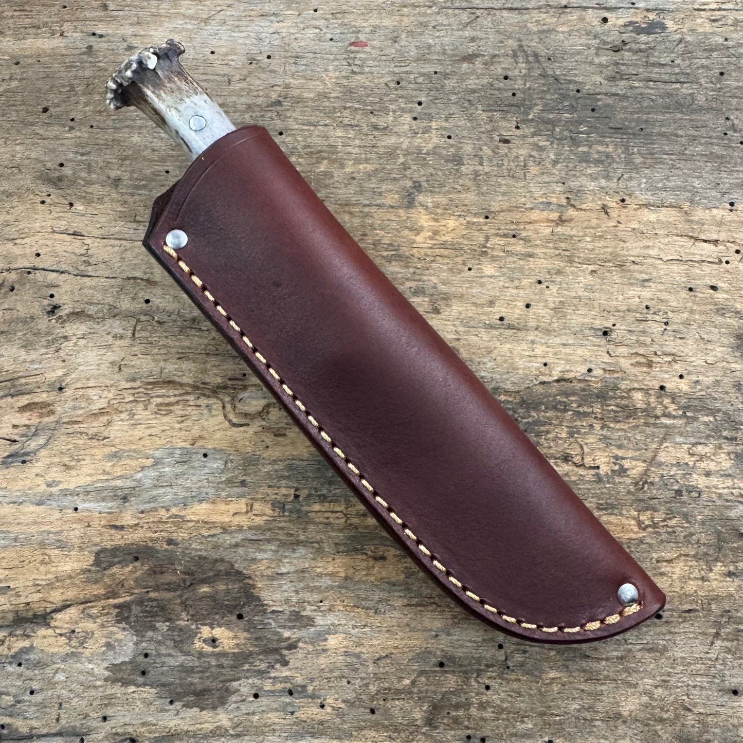 Scagel style Stainless Michigan Trout