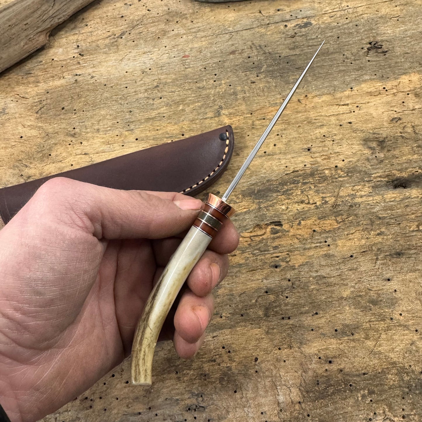 Michigan Trout