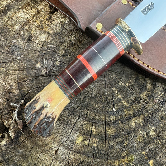 Scagel Style Little Bear