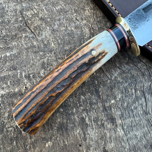 Hammer Mark Big Bay Hunter