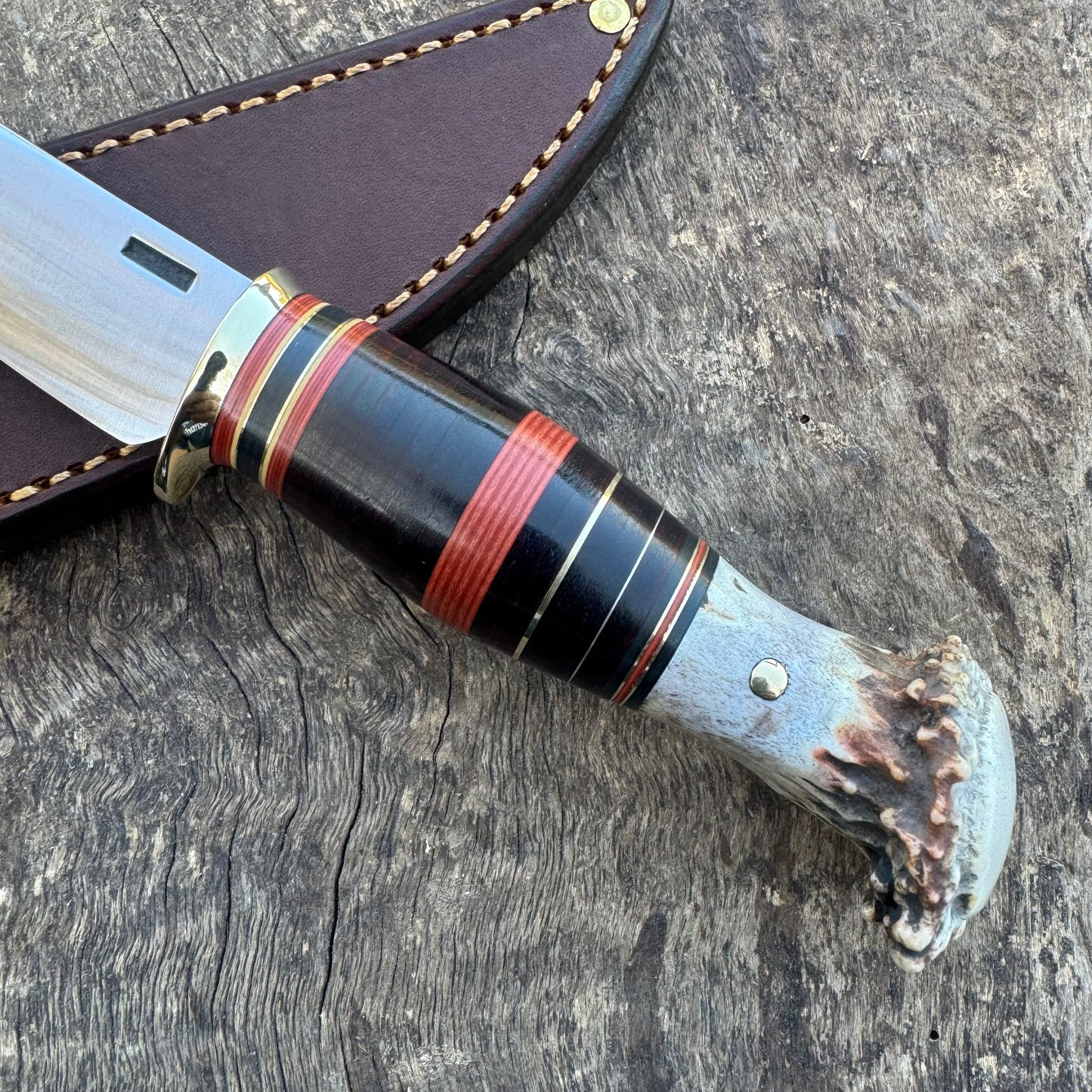 Scagel Style Bird & Trout