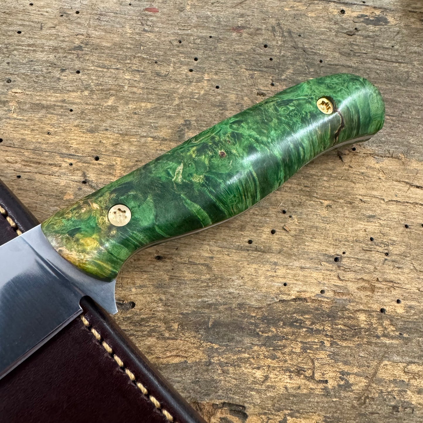 Bear Paw Hunter - AEB-L
