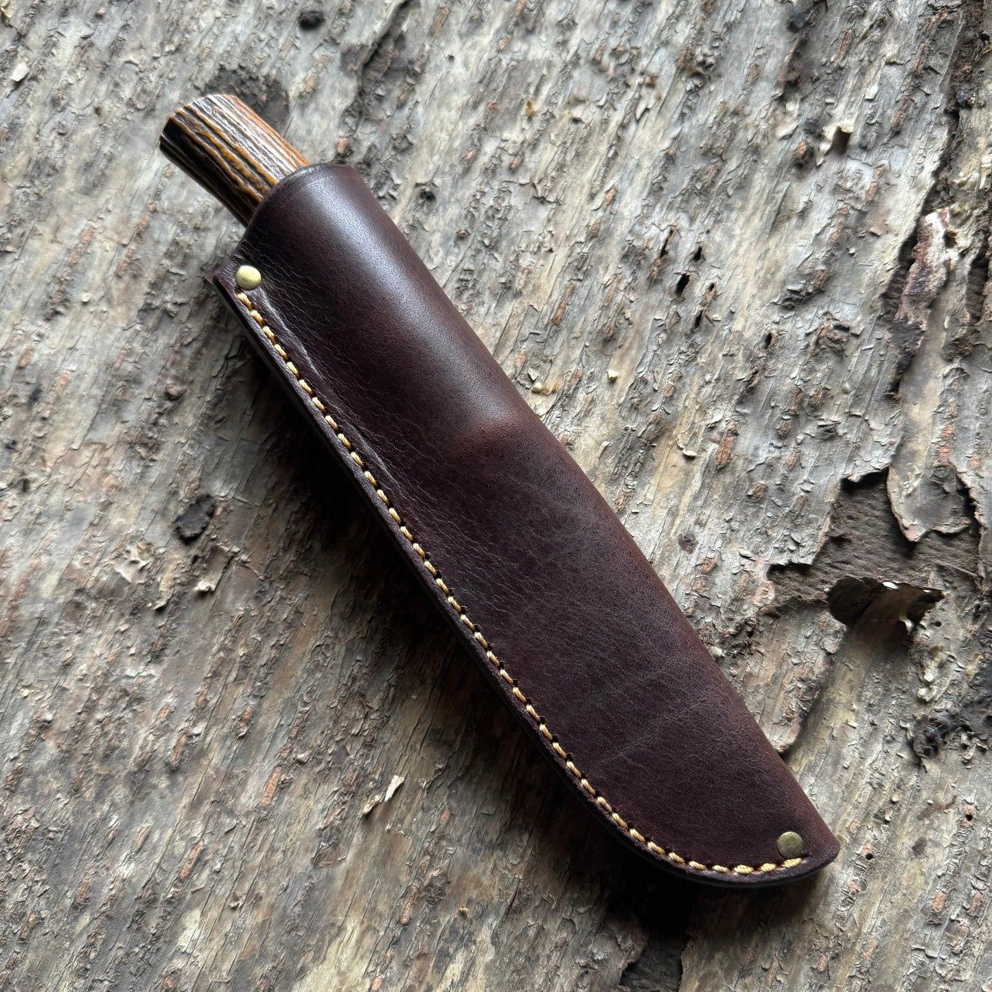 Model 8