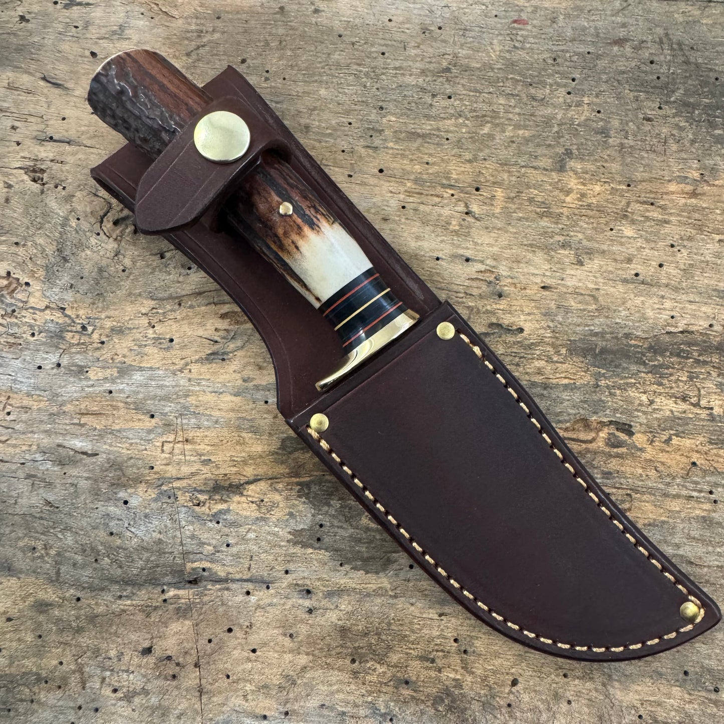 Hammer Mark Baby Bowie