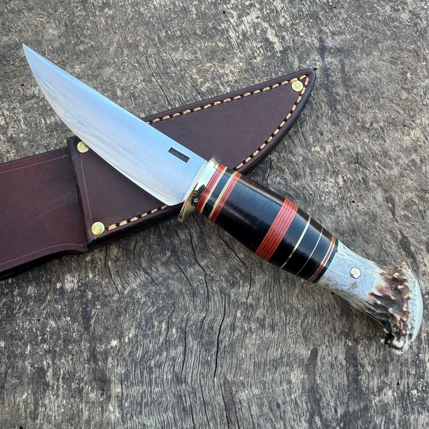 Scagel Style Bird & Trout