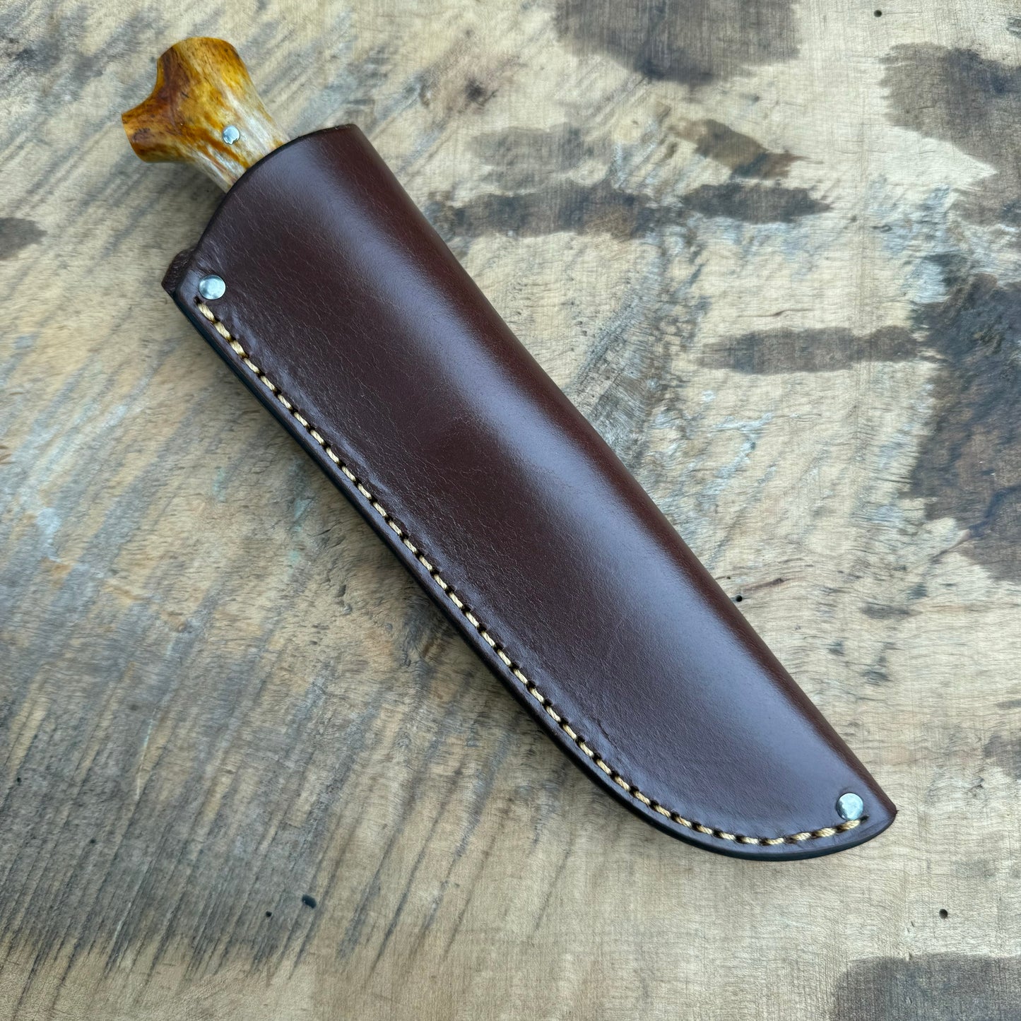 Scagel Style Bird & Trout