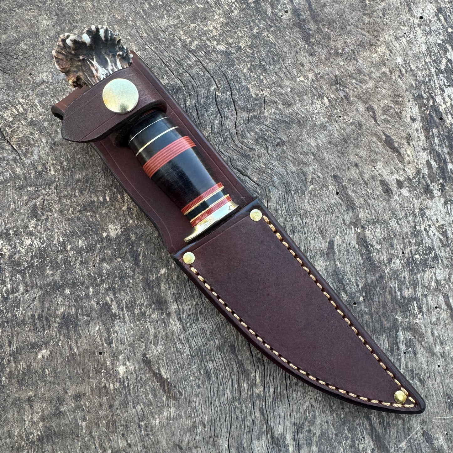 Scagel Style Bird & Trout