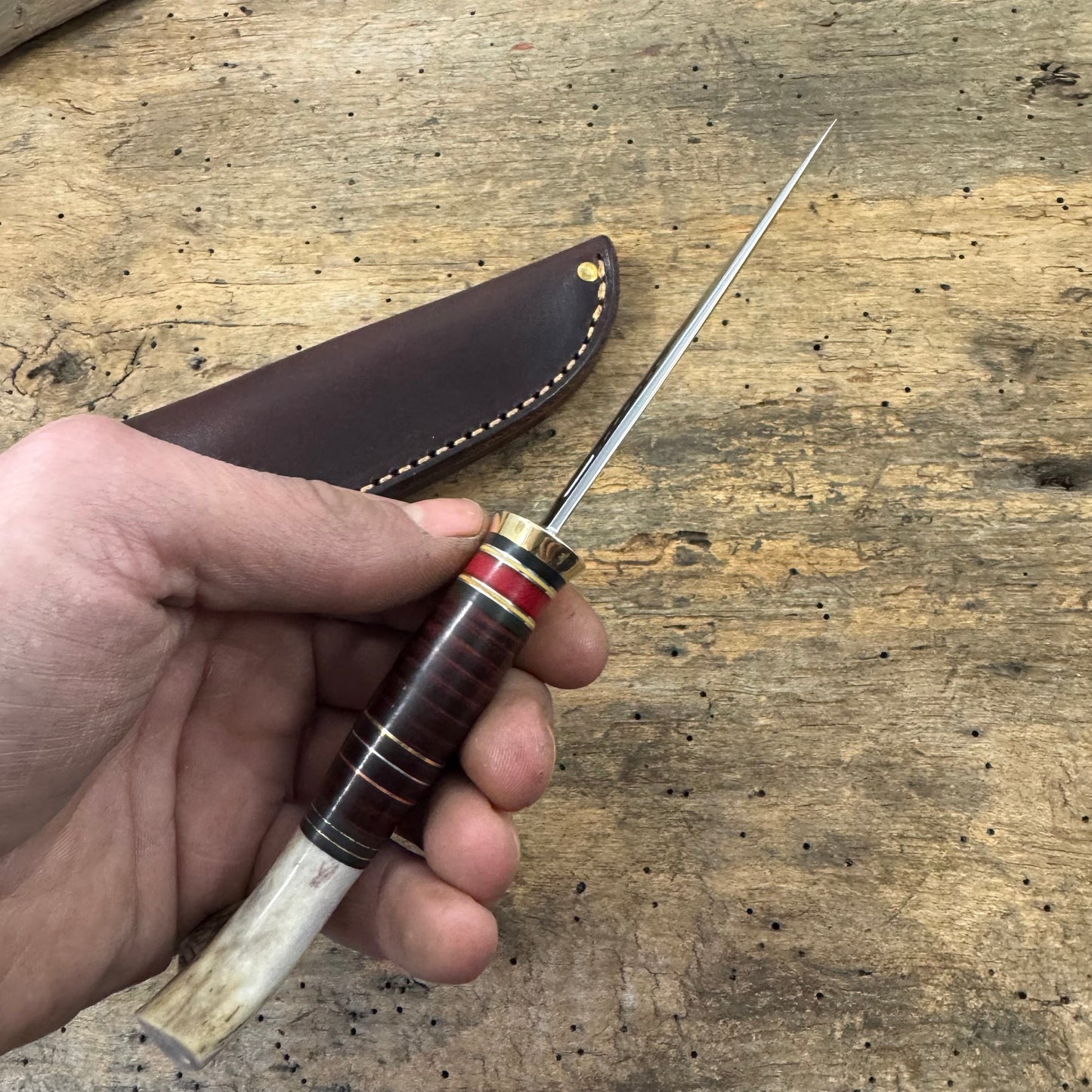 Michigan Trout
