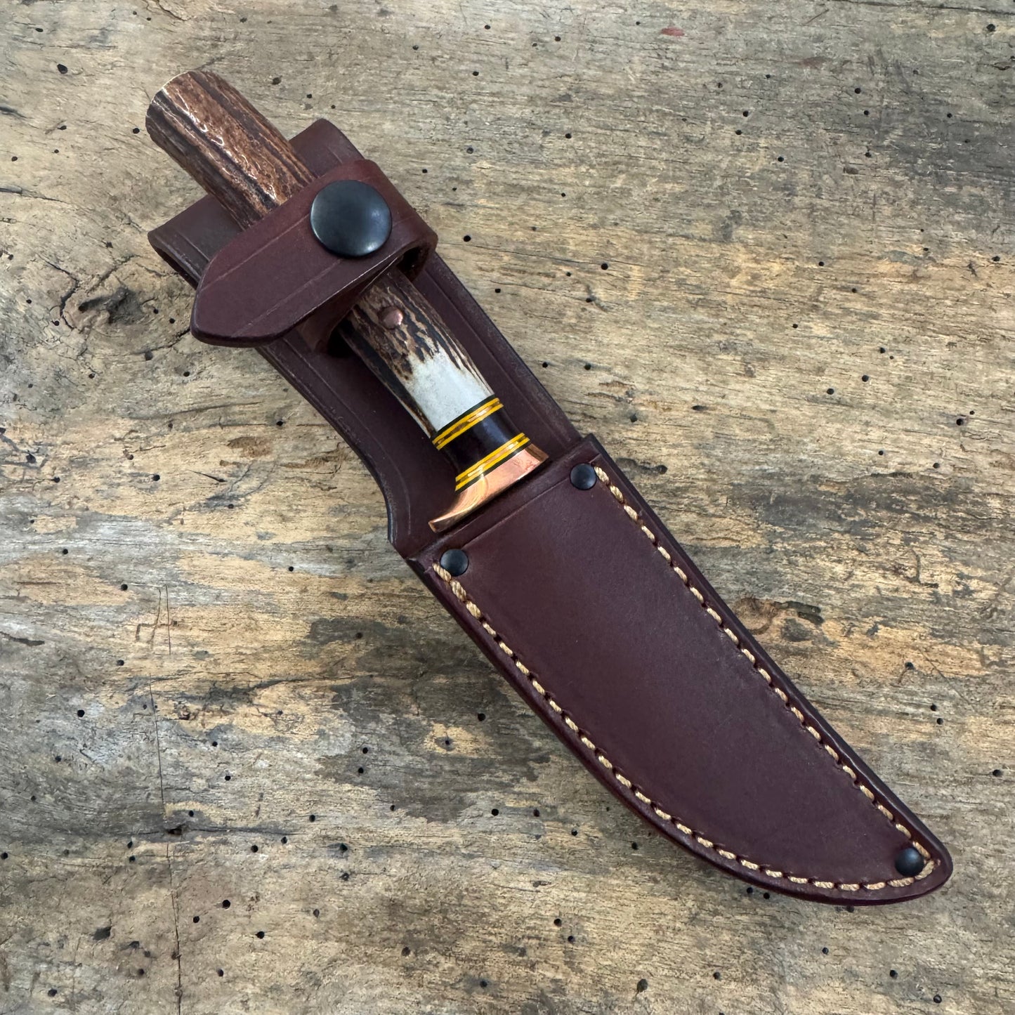 Premium Sambar Stag XL Michigan Trout