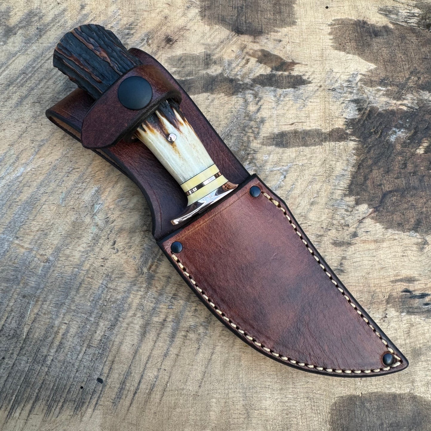 Premium Sambar Stag Hammer Mark Clip Point Hunter