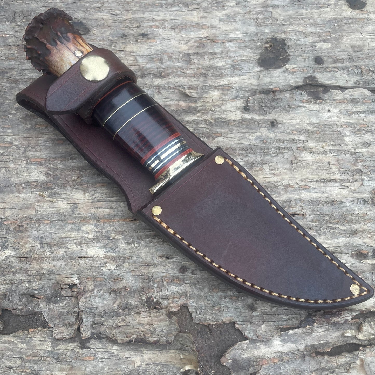 Scagel Style South Dakota Hunter/Caper