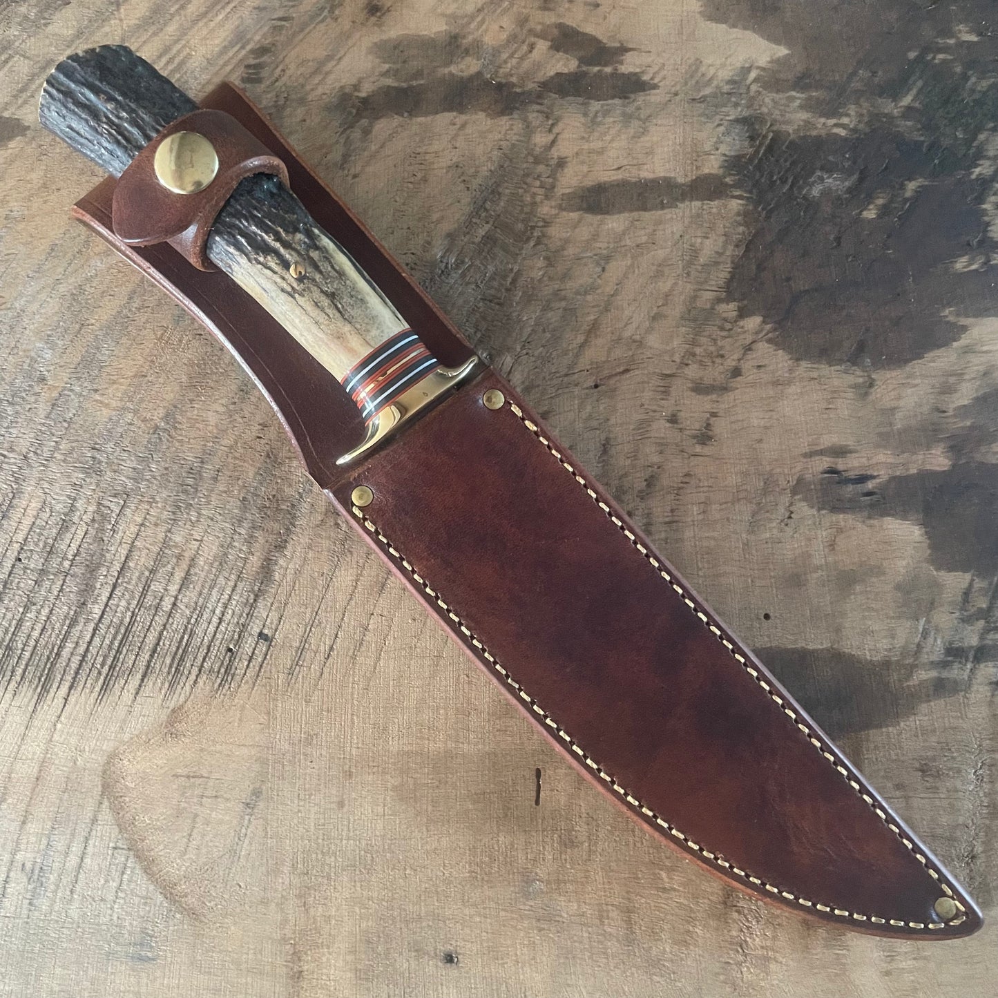 Premium Sambar Stag Fighter