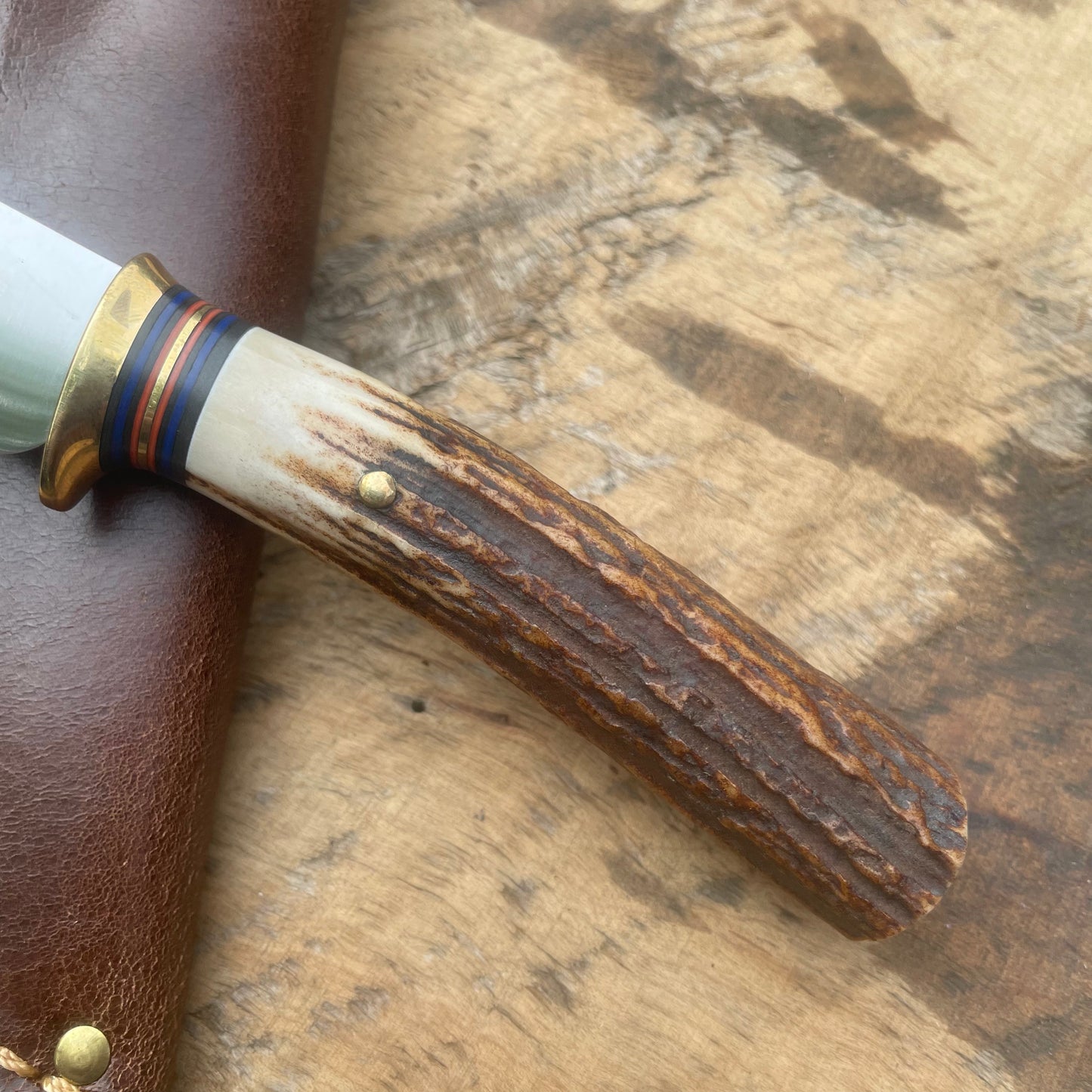Premium Sambar Stag Michigan Trout