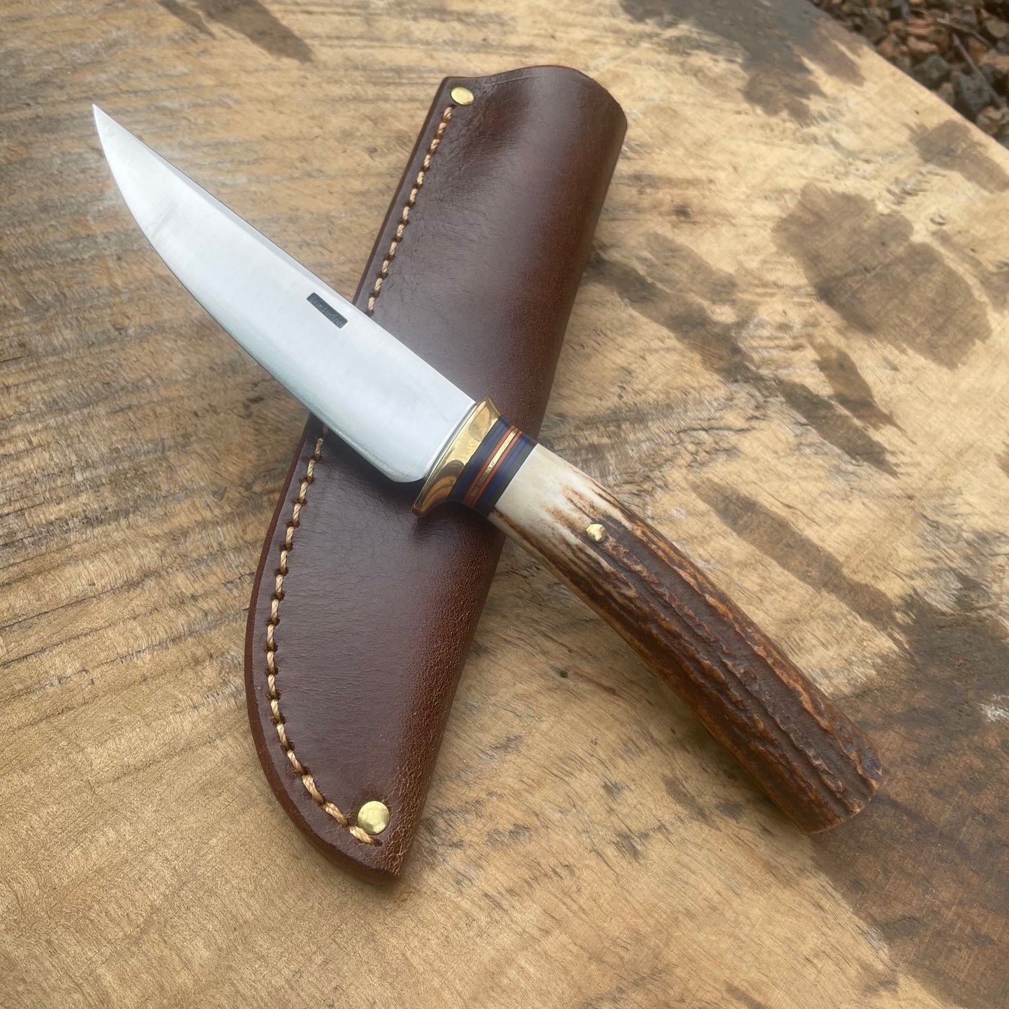 Premium Sambar Stag Michigan Trout