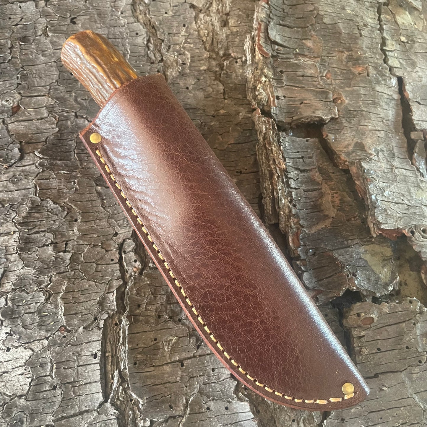 Premium Sambar Stag Hammer Mark Alaskan