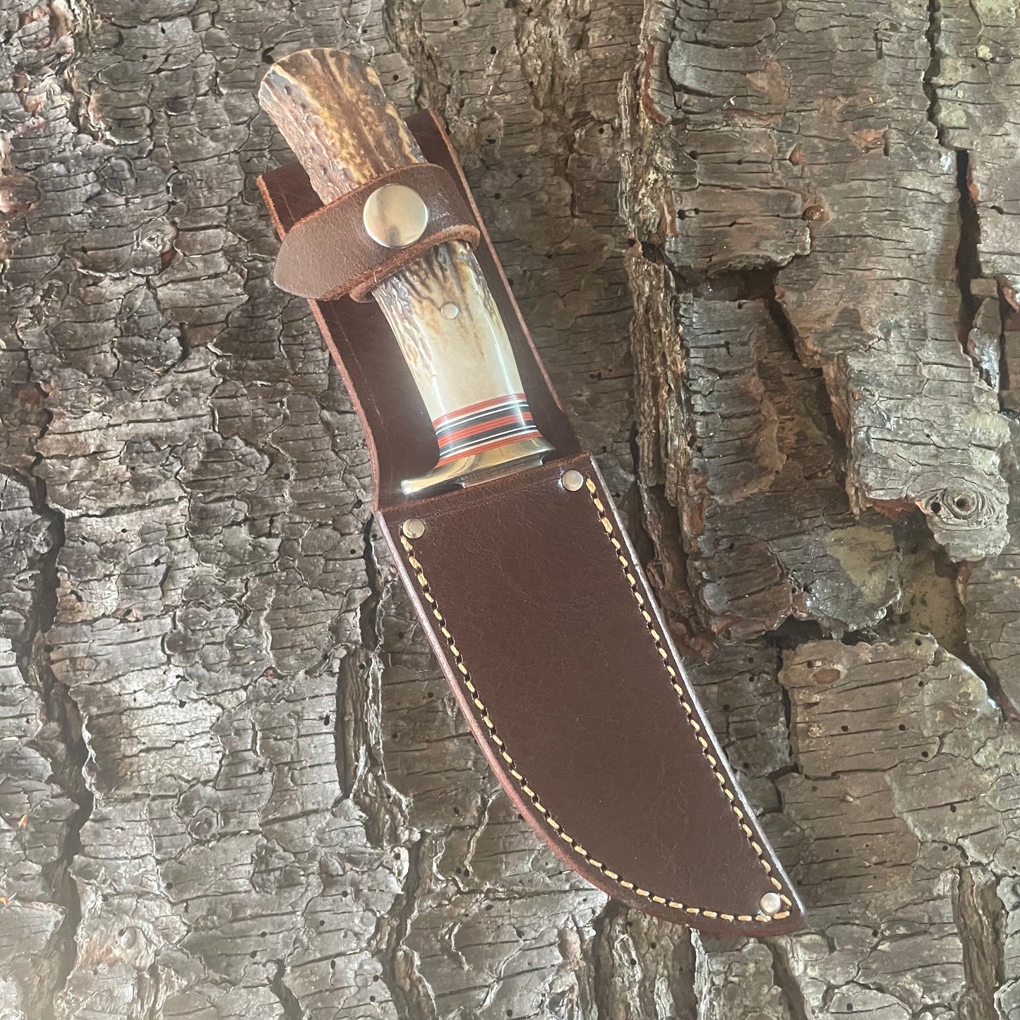 Premium Sambar Stag Michigan Hunter