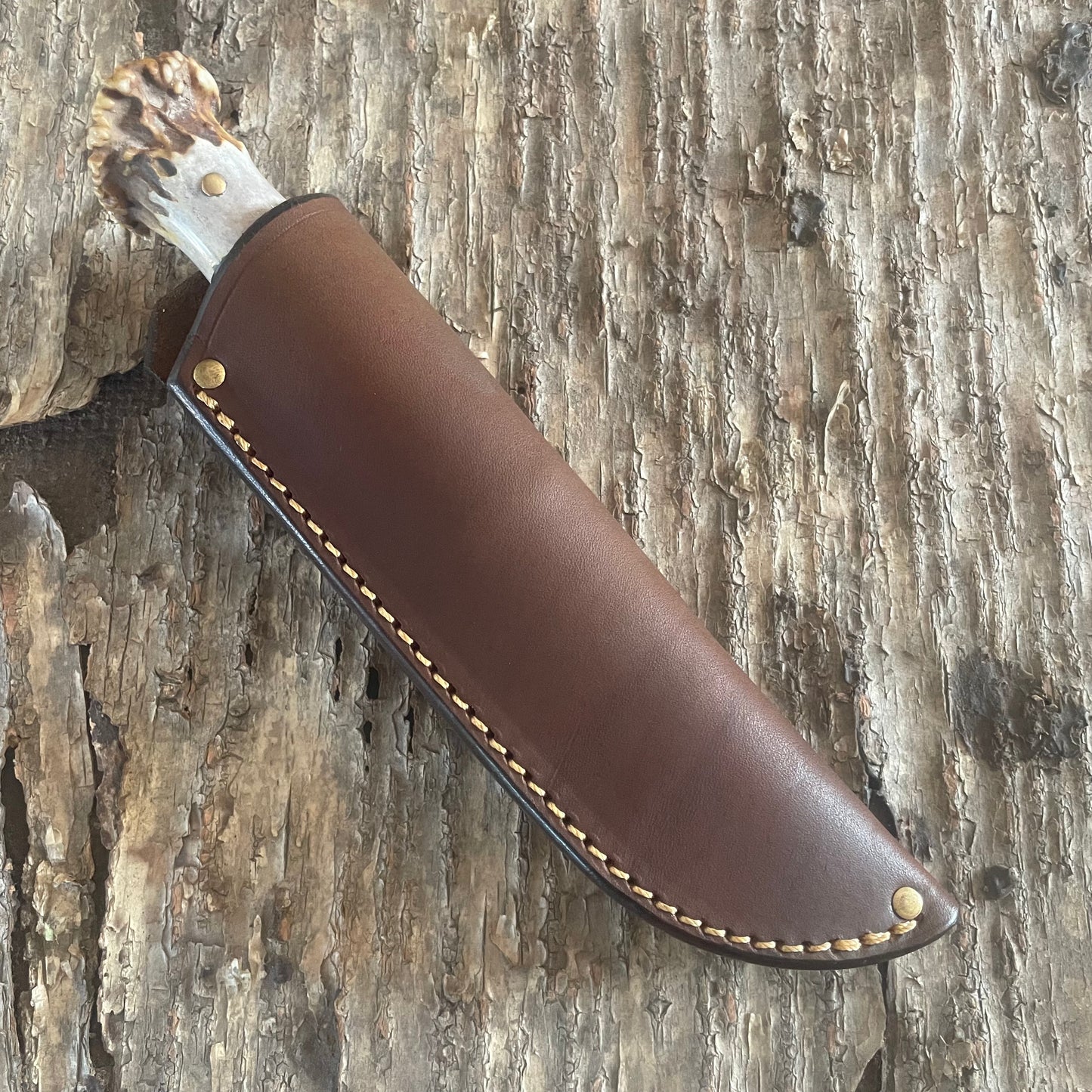 Scagel Style Bird & Trout