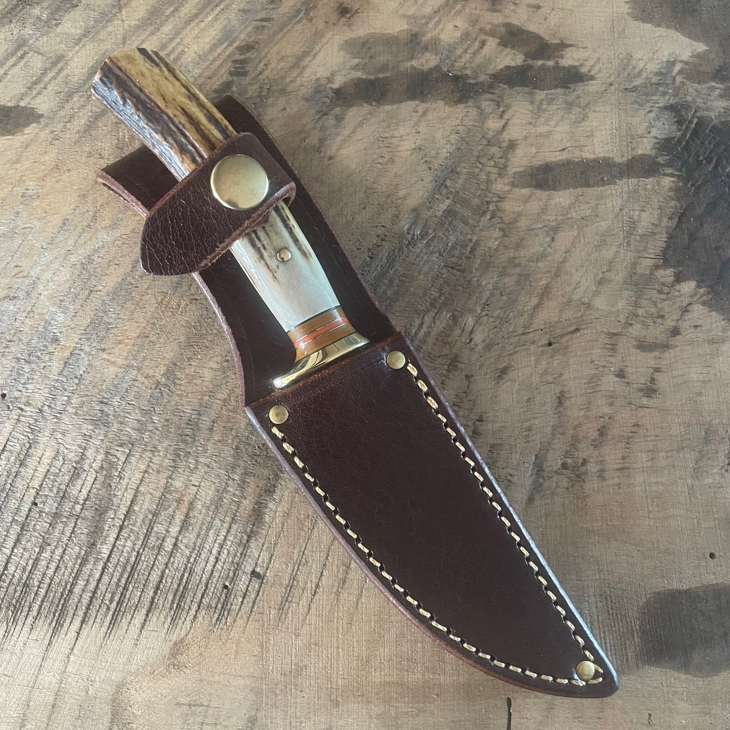 Michigan Trout & Bird