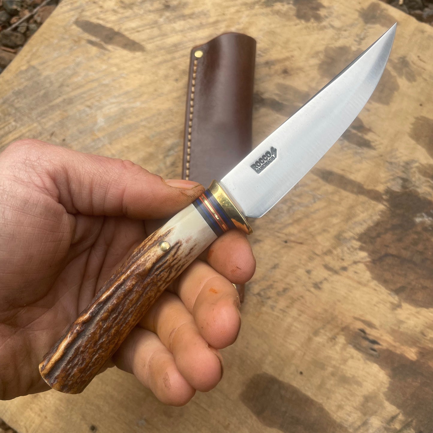 Premium Sambar Stag Michigan Trout