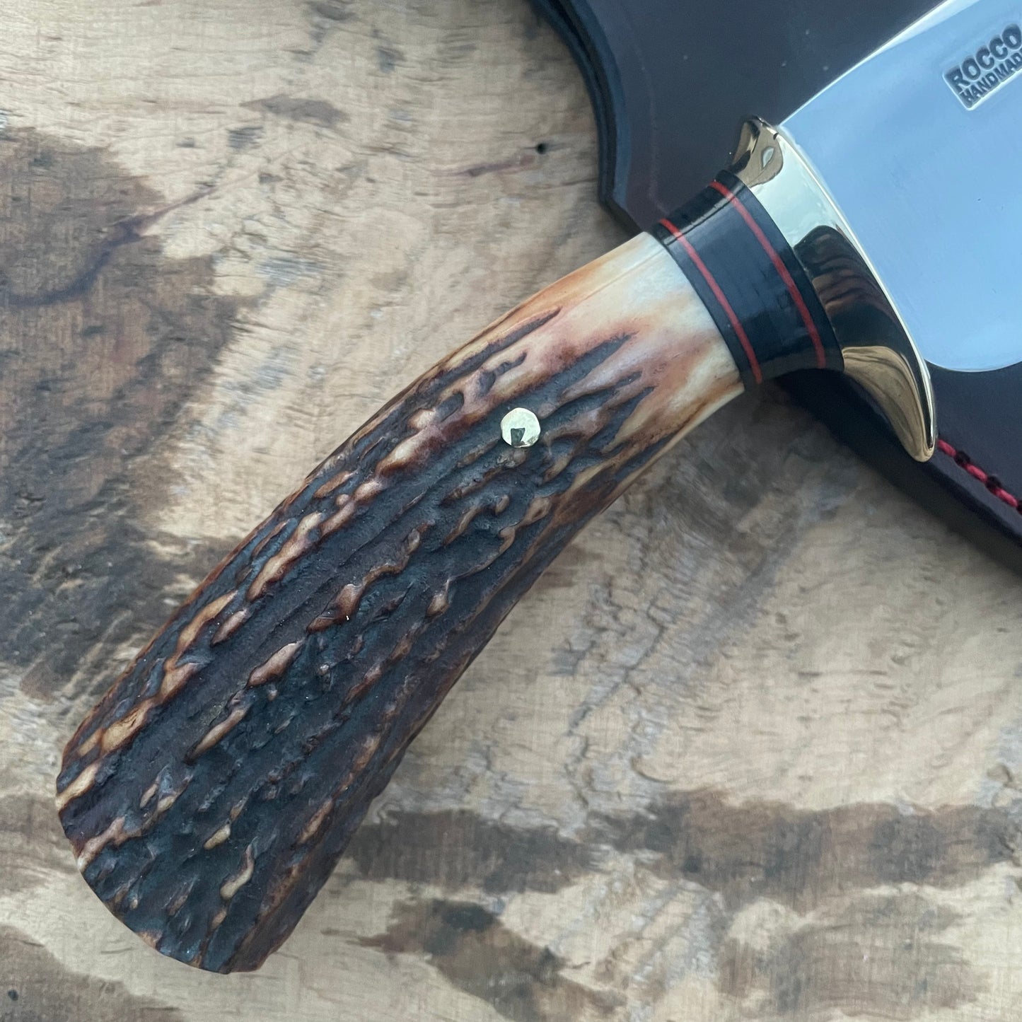 Premium AAA Sambar Stag South Dakota Caper