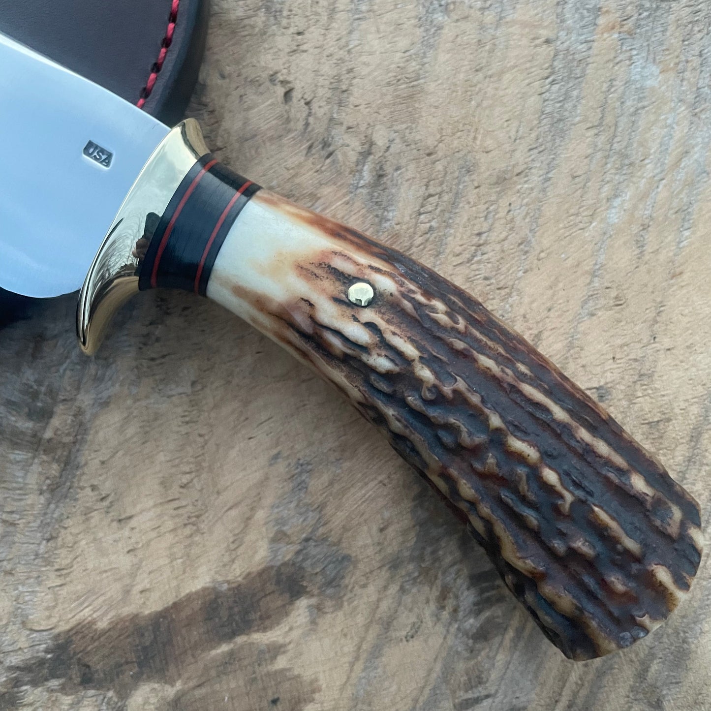 Premium AAA Sambar Stag South Dakota Caper