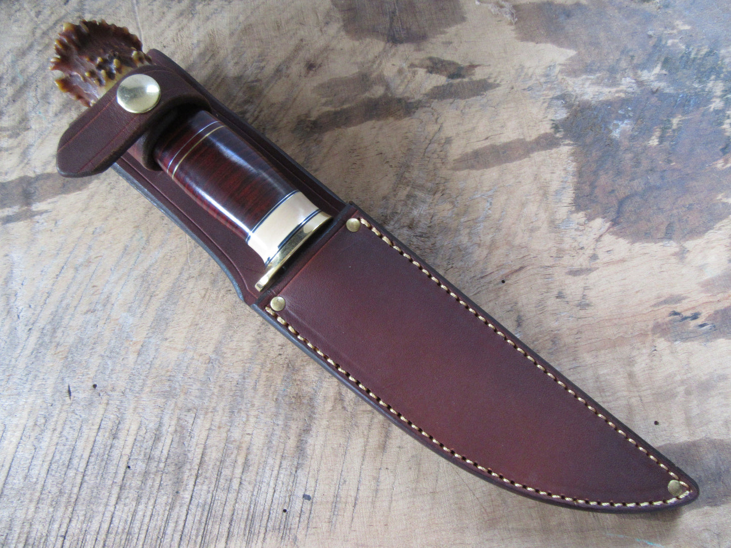 6" Scagel Style Hunter