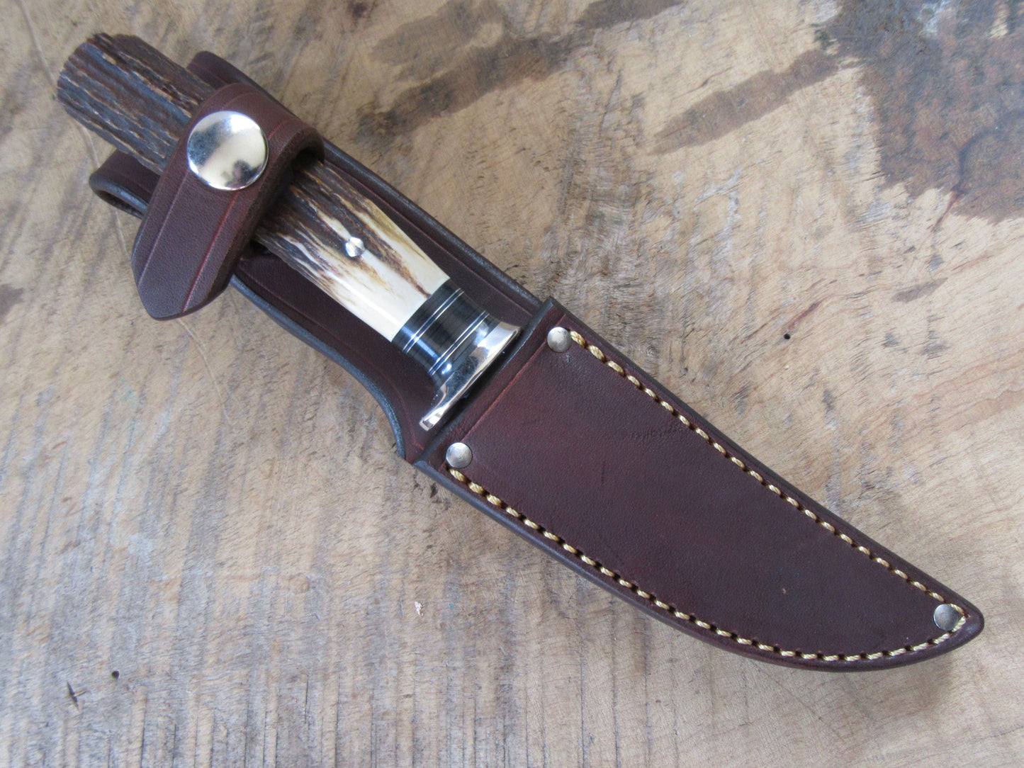 Premium Sambar Stag Michigan Trout