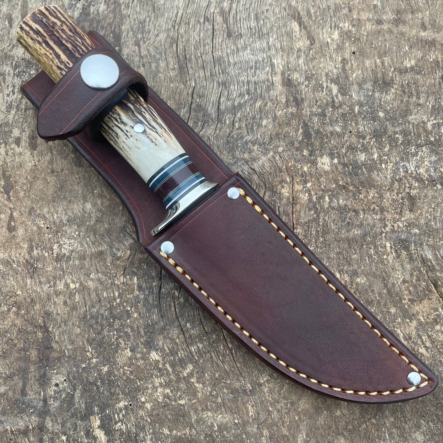 4" Deer & Trout Sambar Stag Hunter