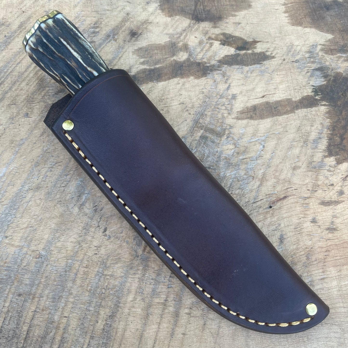 Premium Sambar Stag Hanks Skinner