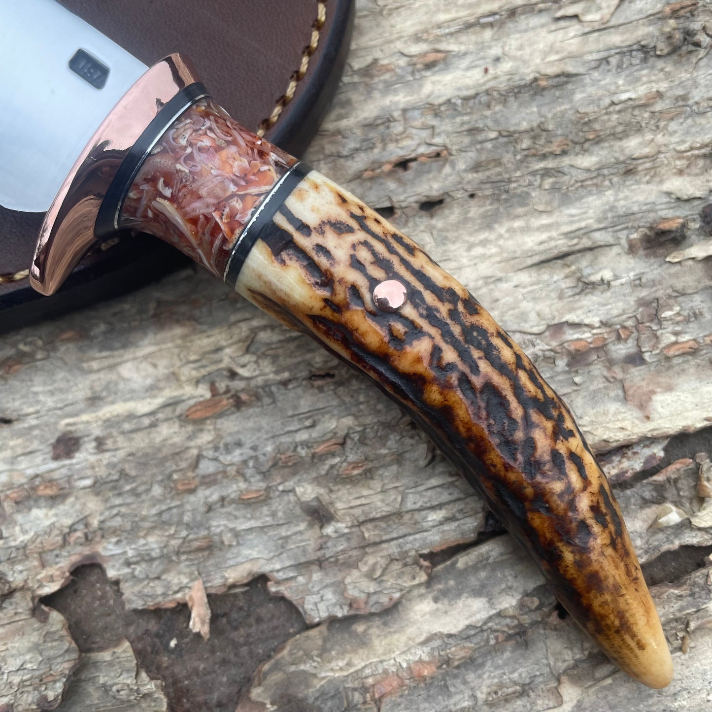 Red Stag Tine Copper Caper