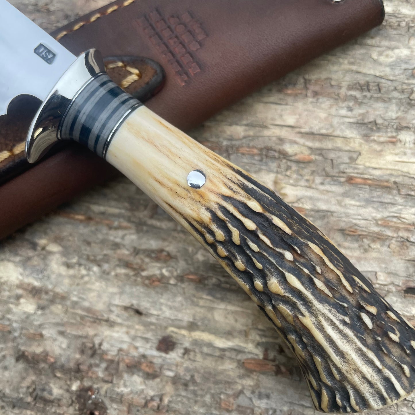 Stag Lightening Point Trout Knife