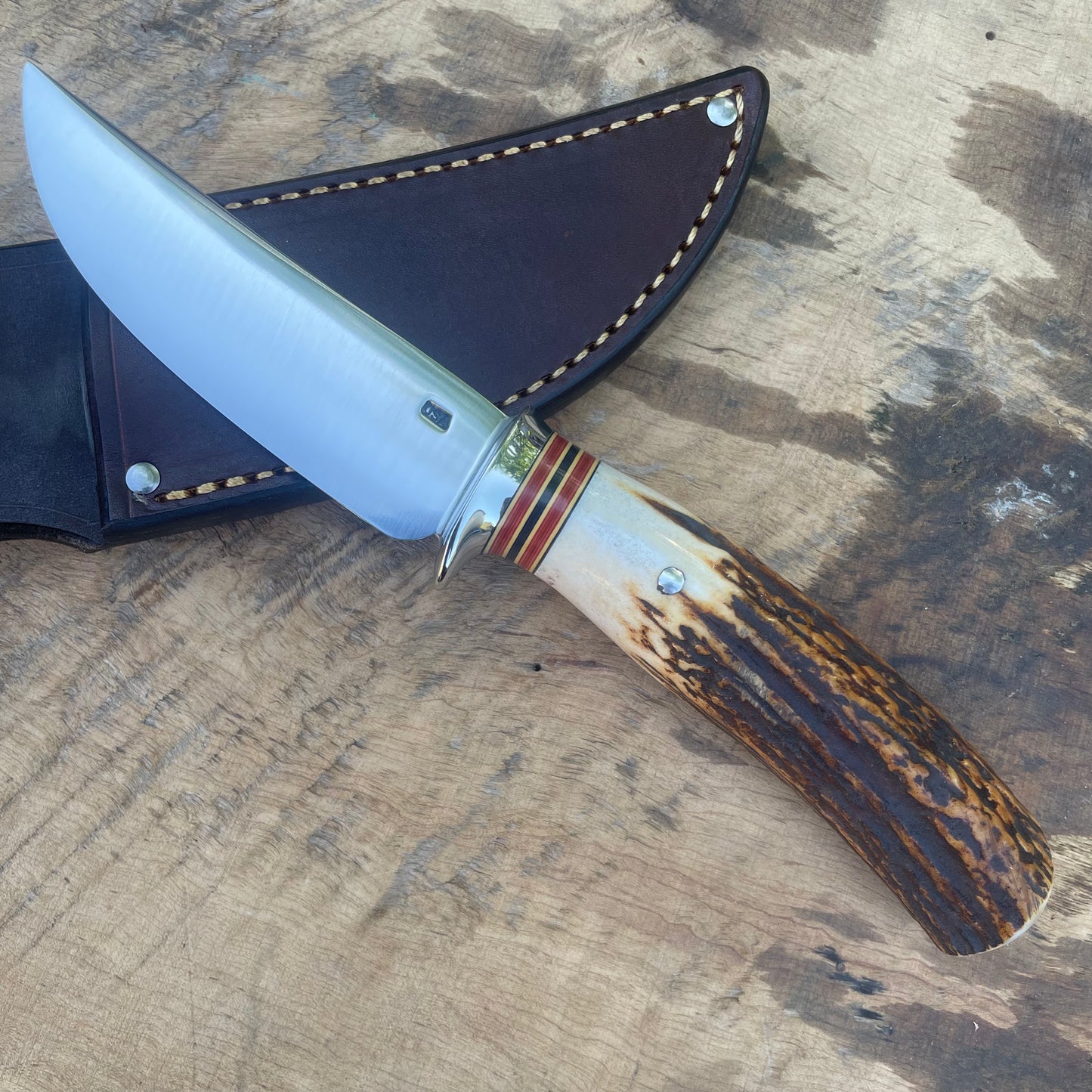 Premium Sambar Stag Deer & Trout