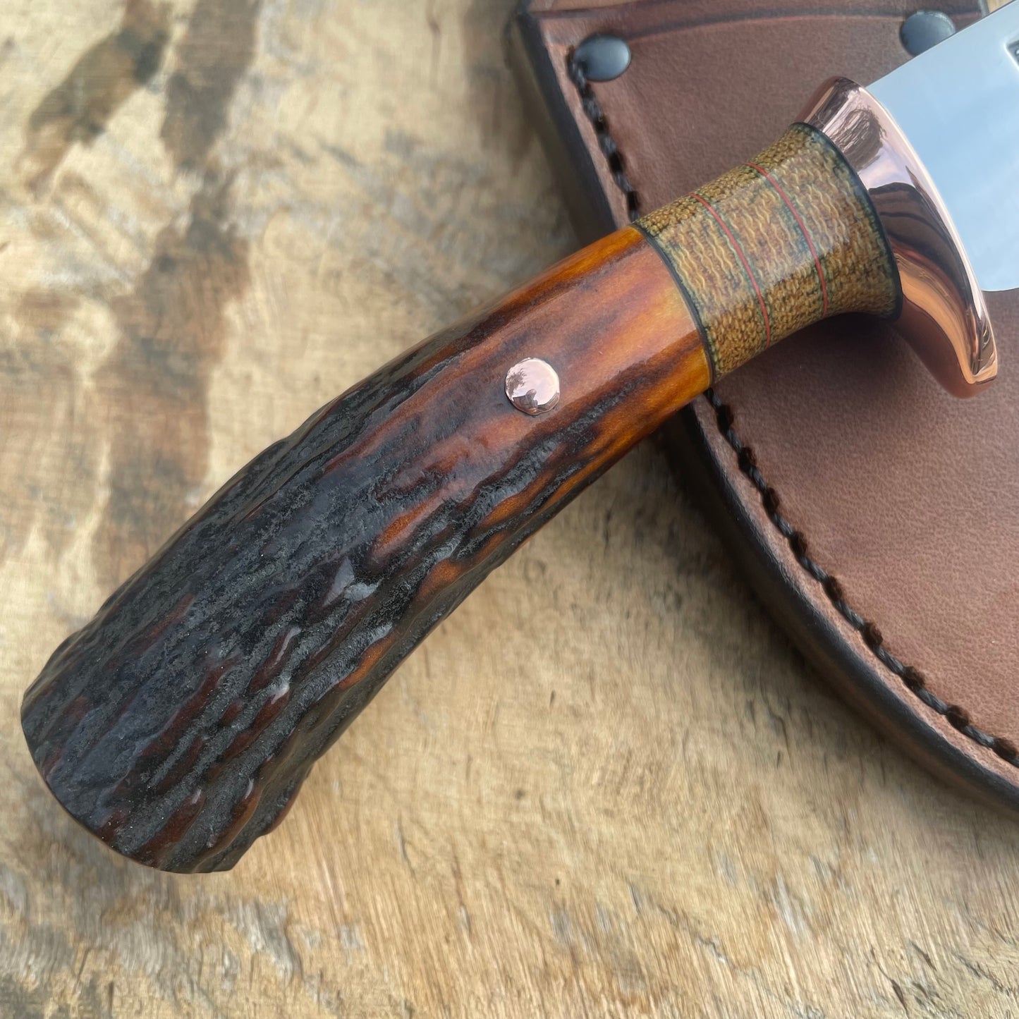 Premium Red stag caper