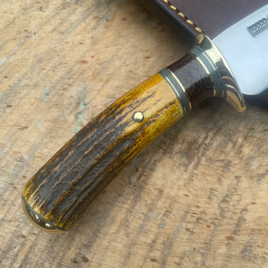 Premium Sambar Stag South Dakota Caper