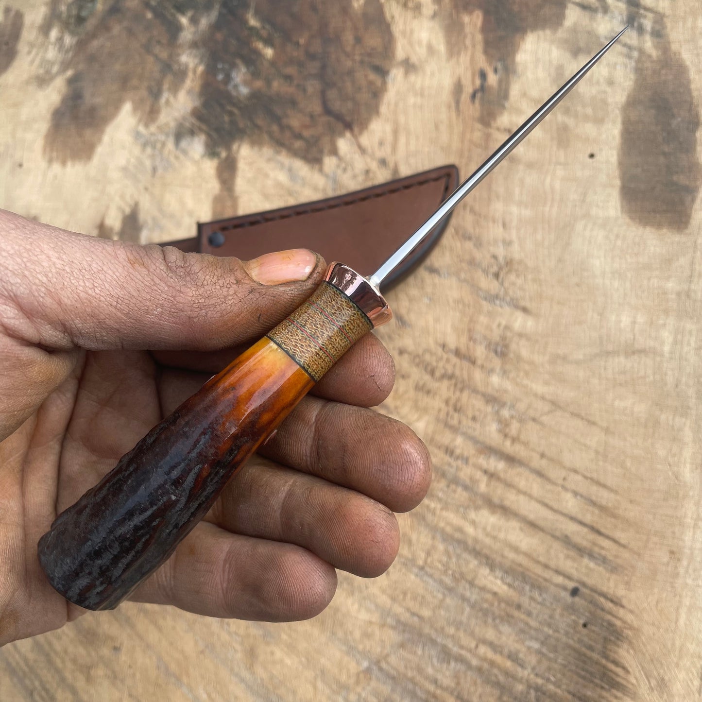 Premium Red stag caper
