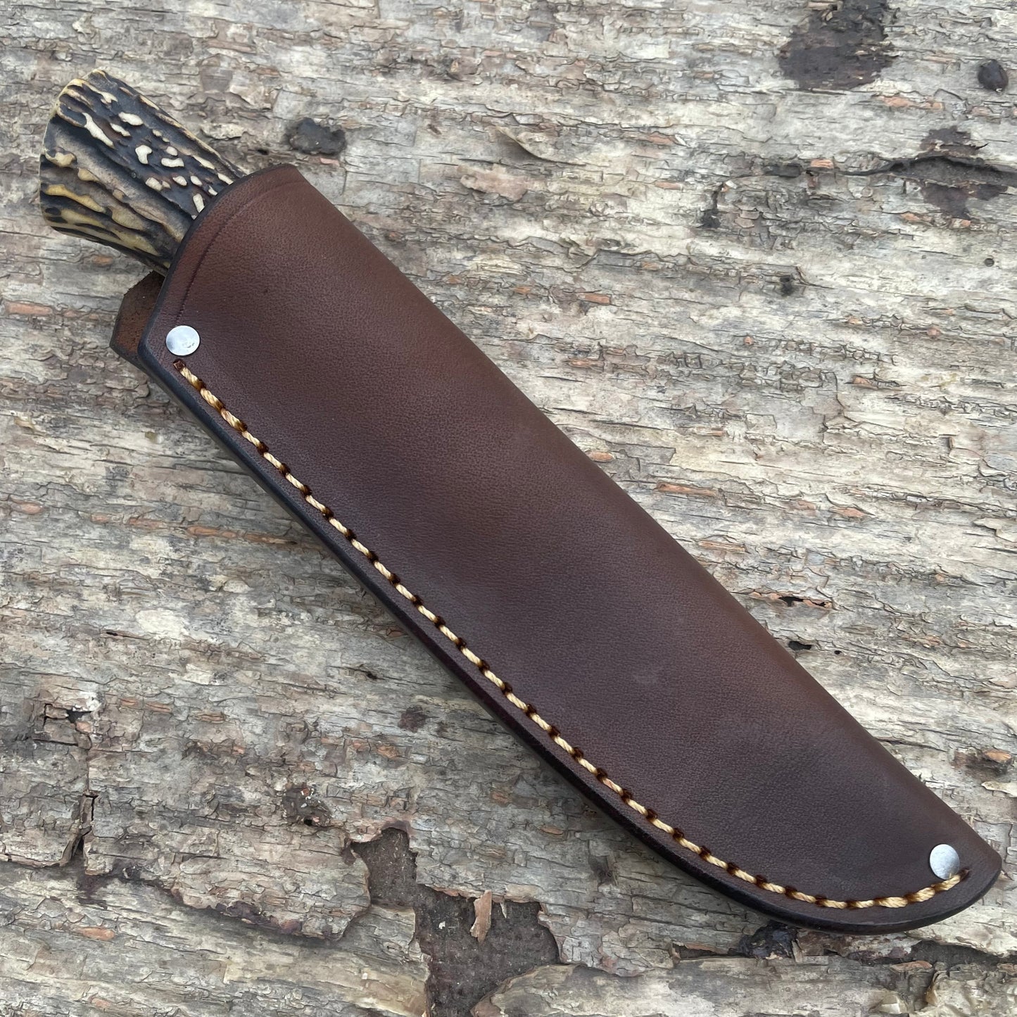 Stag Lightening Point Trout Knife