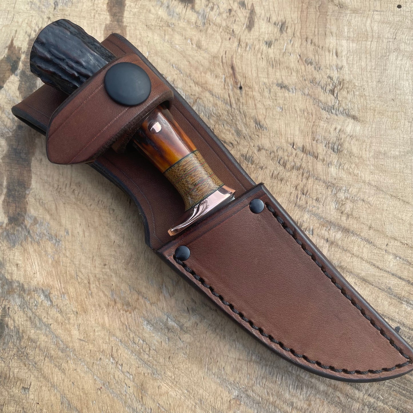 Premium Red stag caper
