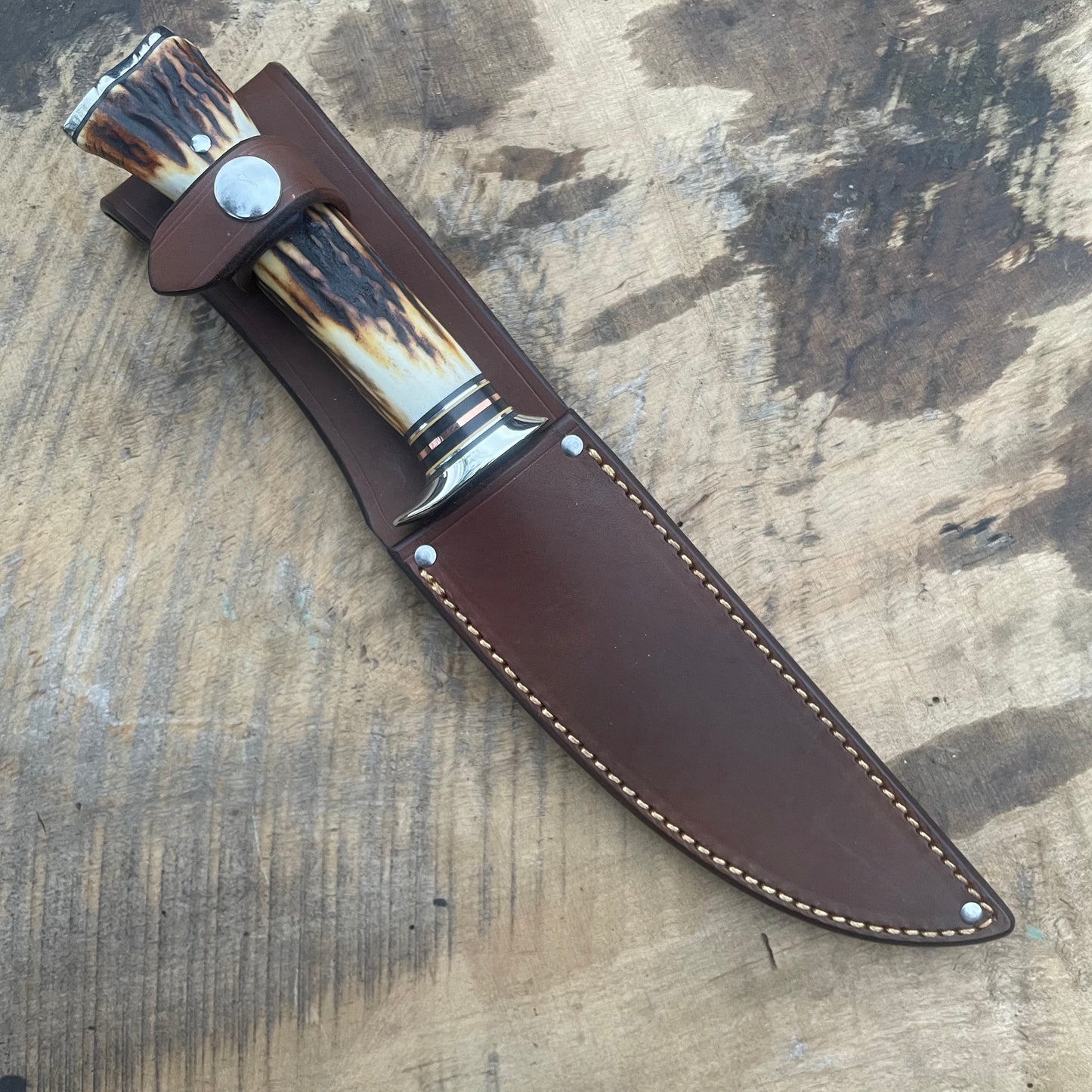 Stag/Stag 6" Hunter