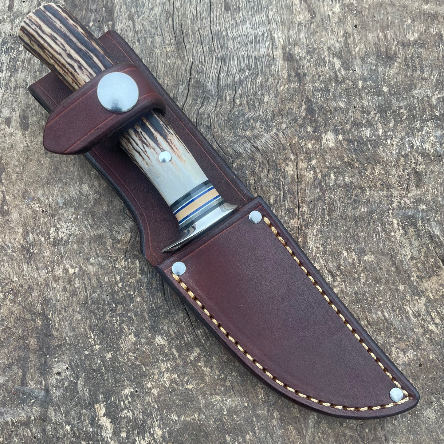 3.5" Michigan Bird Hunter