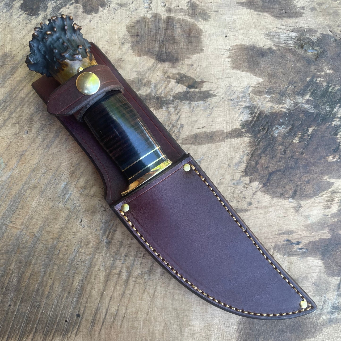 Black & Gold Scagel Style Fox River Hunter