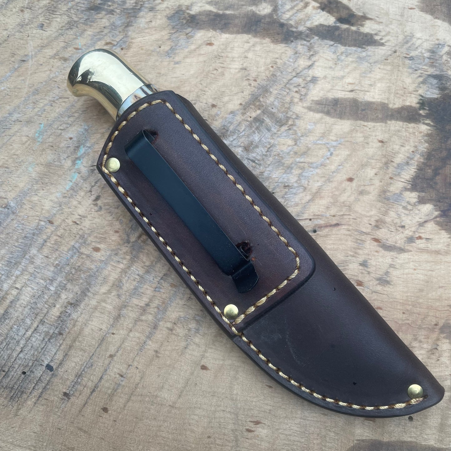 Premium Sambar Stag Pocket Knife