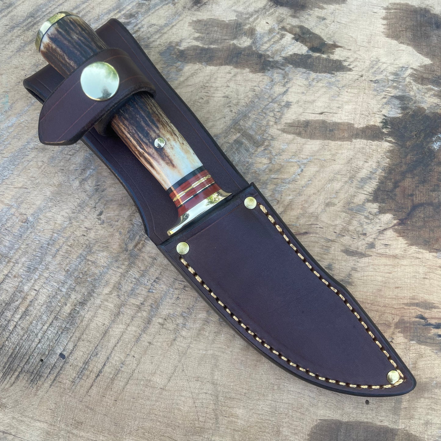 Premium Sambar Stag Lighting Point Bird & Trout