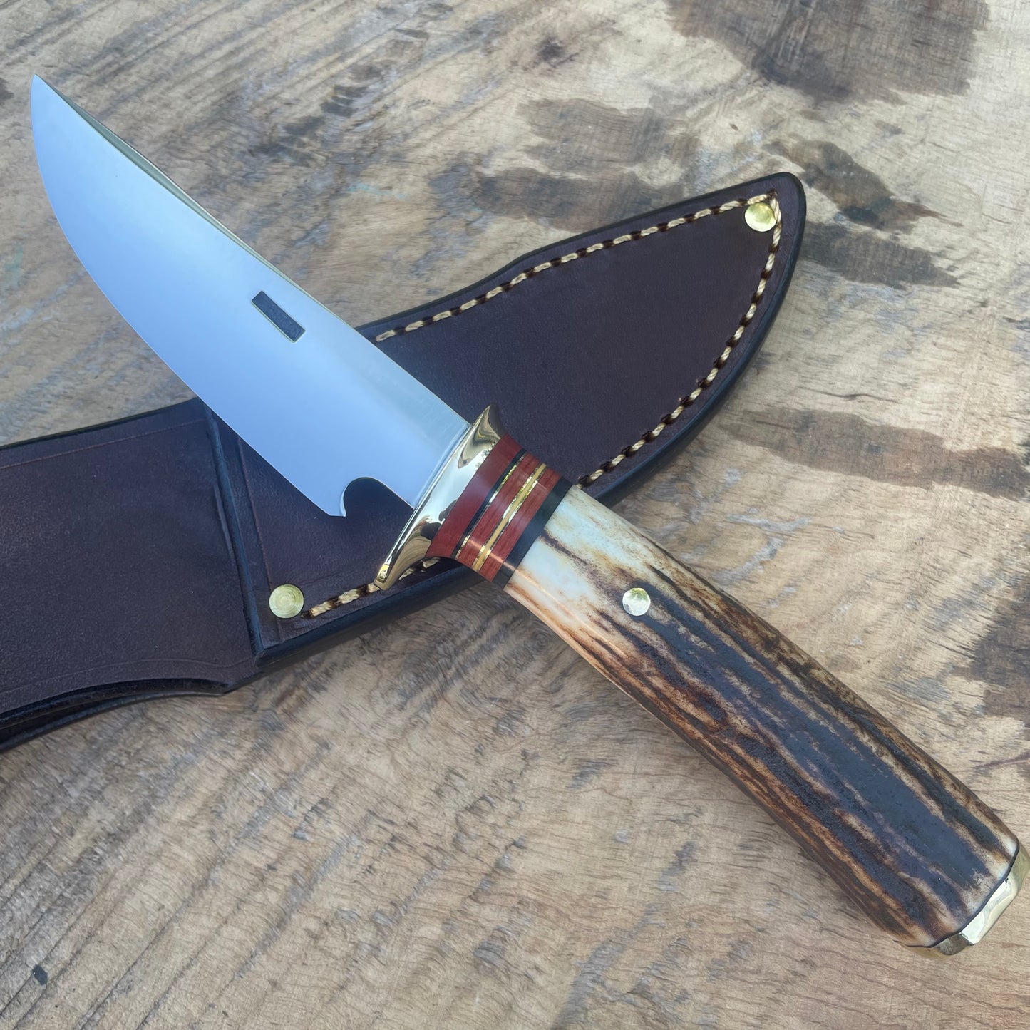 Premium Sambar Stag Lighting Point Bird & Trout