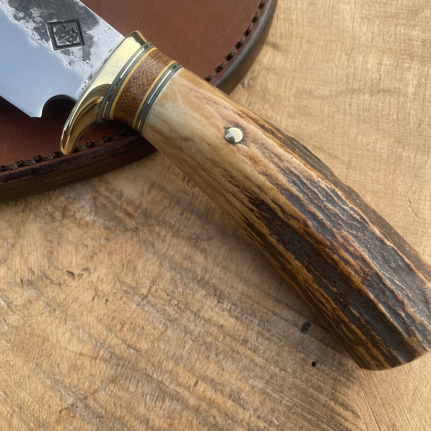 Hammer mark clip point hunter