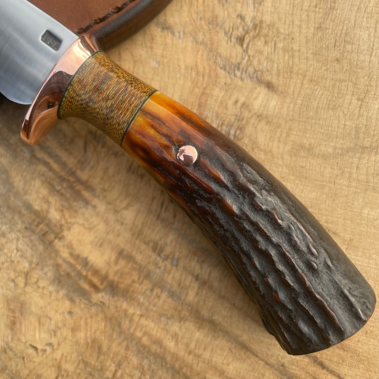 Premium Red stag caper