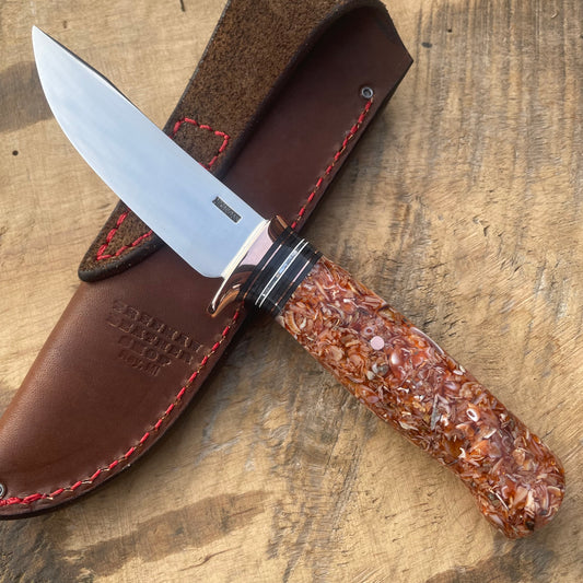 Premium Sea shell Michigan trout